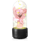 2 In 1 Bouquet LED Light And Bluetooth Speaker Rose Luminous Night Light Ornament In Glass Cover - NawdeX