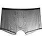 Men's Underwear Transparent Boxers Bulge Ice Silk See Through Underpants Sexy Briefs Low Waist Panties Lingerie Intimates - NawdeX