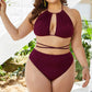 Plus Size Cutout Tied Backless Bikini Set - NawdeX