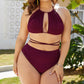 Plus Size Cutout Tied Backless Bikini Set - NawdeX
